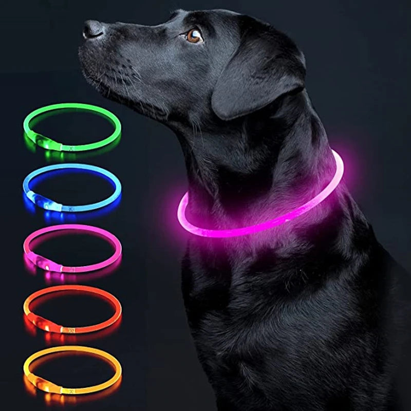USB Rechargeable LED Luminous Safety Dog Collar - Cut-to-Fit