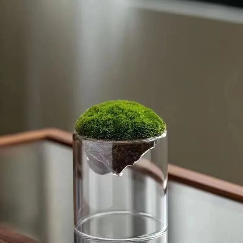 Thicken Glass Moss Bottle Creative Floating Mountain Micro-landscape Ecological Bottle Home Decorations Hydroponic Plant Vase