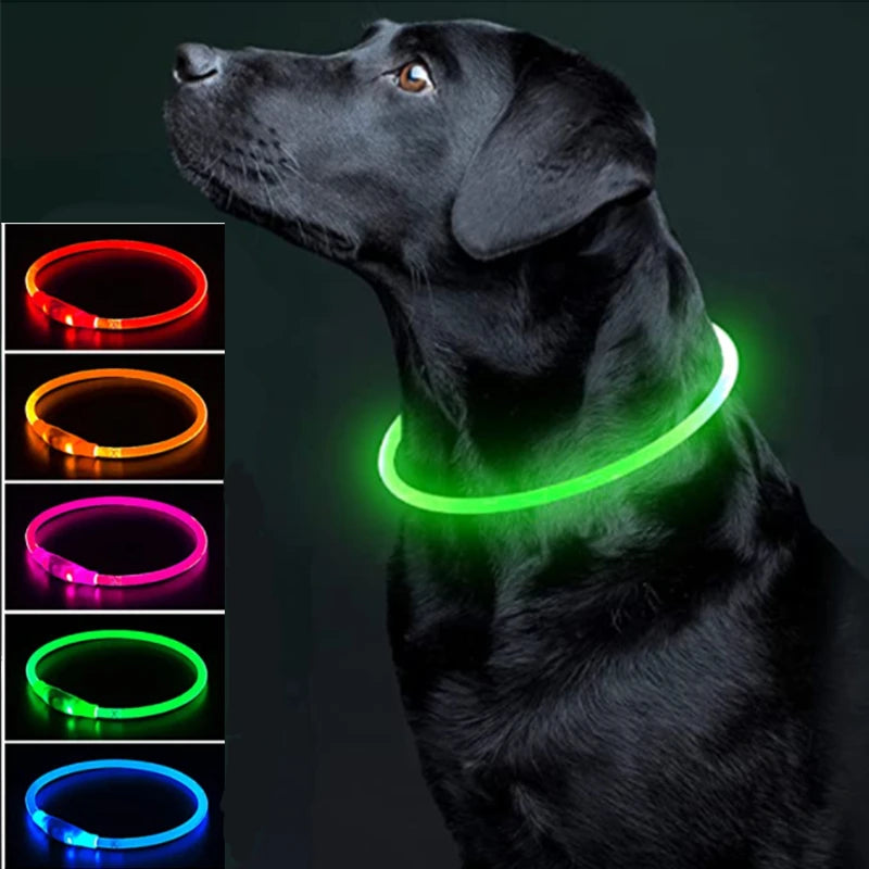 USB Rechargeable LED Luminous Safety Dog Collar - Cut-to-Fit