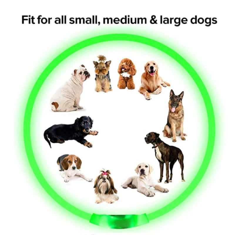 USB Rechargeable LED Luminous Safety Dog Collar - Cut-to-Fit