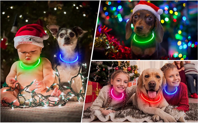 USB Rechargeable LED Luminous Safety Dog Collar - Cut-to-Fit