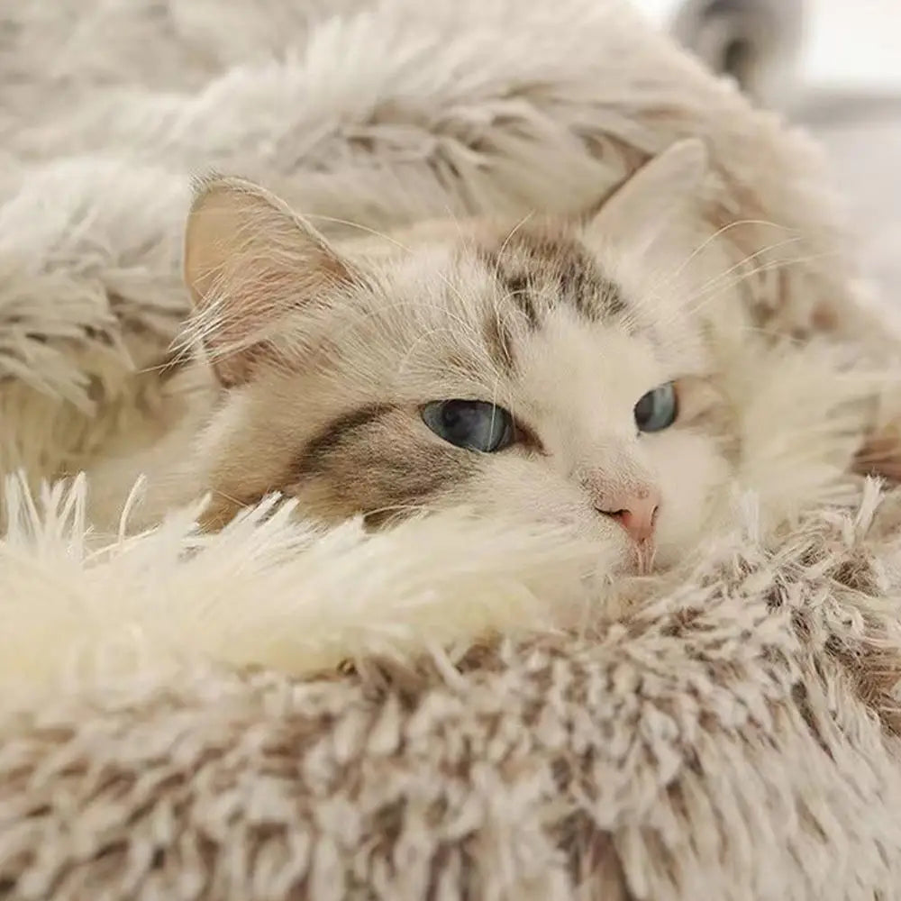 Cama de Inverno Redonda em Pelúcia para Gatos, Almofada para Gatos, Casa Quente para Gatos, Cesto para Gatos, Saco de Dormir para Animais de Estimação, Ninho para Gatinhos, Canil para Cães e Gatos
